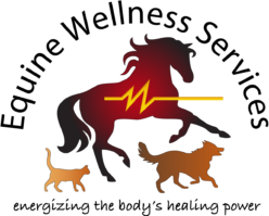 Equine Wellness
